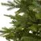 7ft. Unlit North Carolina Spruce Artificial Christmas Tree